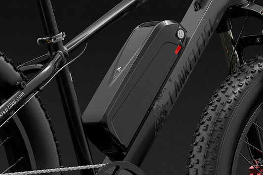 Batterie de vélo électrique LANKELEIS MG740 48V 20AH