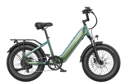 FAFREES F20 Rover 250W Fat Tire Electric Bike