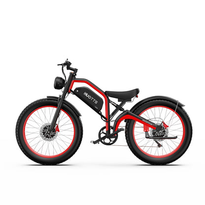 DUOTTS N26 750*2 Electric Bike With Throttle