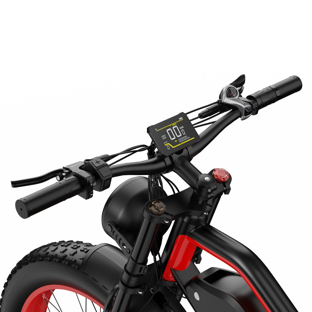 DUOTTS N26 750*2 Electric Bike With Throttle