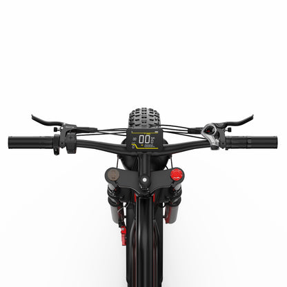 DUOTTS N26 750*2 Electric Bike With Throttle