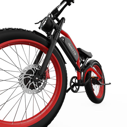 DUOTTS N26 750*2 Electric Bike With Throttle