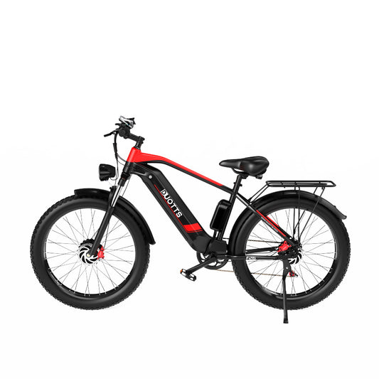 DUOTTS F26 750W*2 Electric Bike