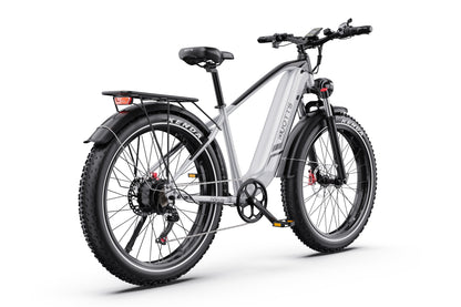 DUOTTS F26 750W*2 Elektrofahrrad