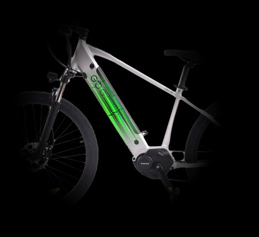 Batterie vélo électrique GM26-10Ah GOGOBEST