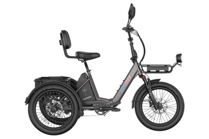 FAFREES F20 Mate II 250W Electric Tricycle