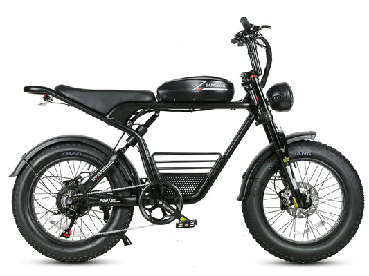 SAMEBIKE M20 1000W Electric Motorcycle