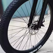 KIXIN Q3 Plus Potente Bicicletta Elettrica da Montagna