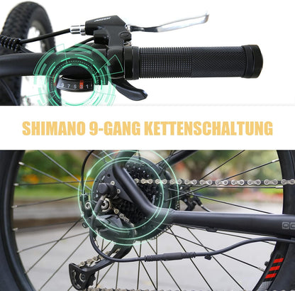 ProTour M920 250W Electric Bicycle