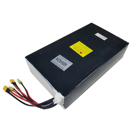 Batterie lithium-ion pour scooter électrique DUOTTS D99 60 V 42 Ah