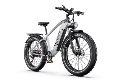 DUOTTS F26 750W*2 Elektrofahrrad