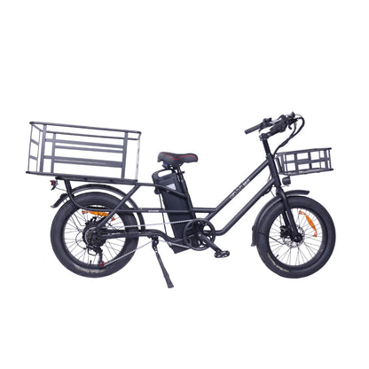 GOGOBEST GF200 Elektro-Lastenfahrrad – Holaty