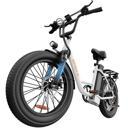 URLIFE E20 electric bike image 3, product details and views