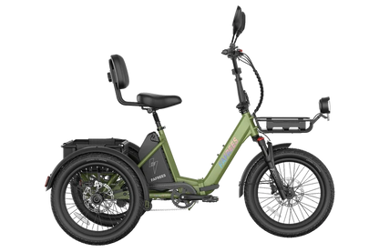 FAFREES F20 Mate II 250W Electric Tricycle