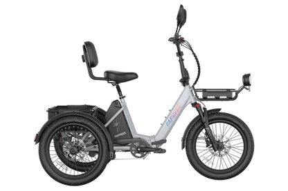 FAFREES F20 Mate II 250W Electric Tricycle