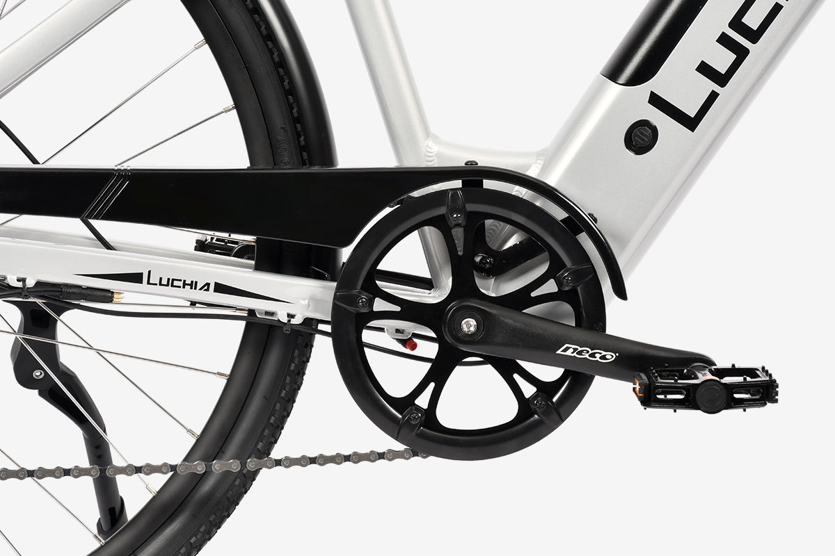Vélo électrique Luchia ARTURO 250W