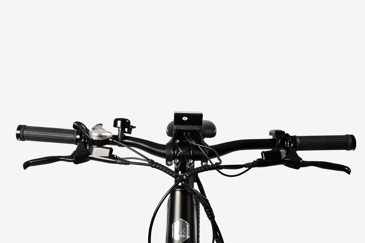 Vélo électrique Luchia SPICA 250W