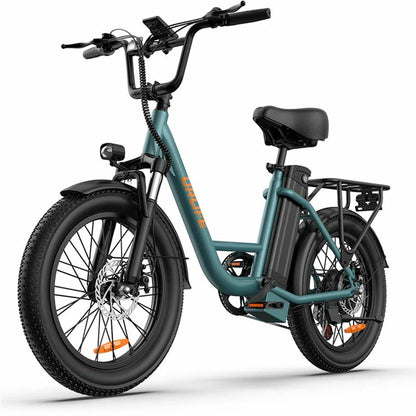 URLIFE E20 electric bicycle product view