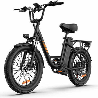 URLIFE E20 electric bike image 2, product details and views