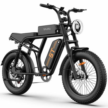 URLIFE T2 electric bicycle product view
