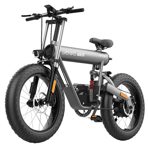 Affordable Long-Range E-Bikes in the EU