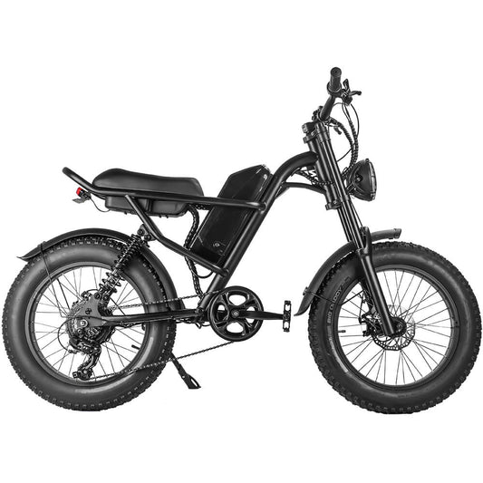 IPDOO Riding' Times Z8 Electric Bike 500W Fat Tire Electric Motor Bike 25km/h-45km/h 15.6Ah Battery