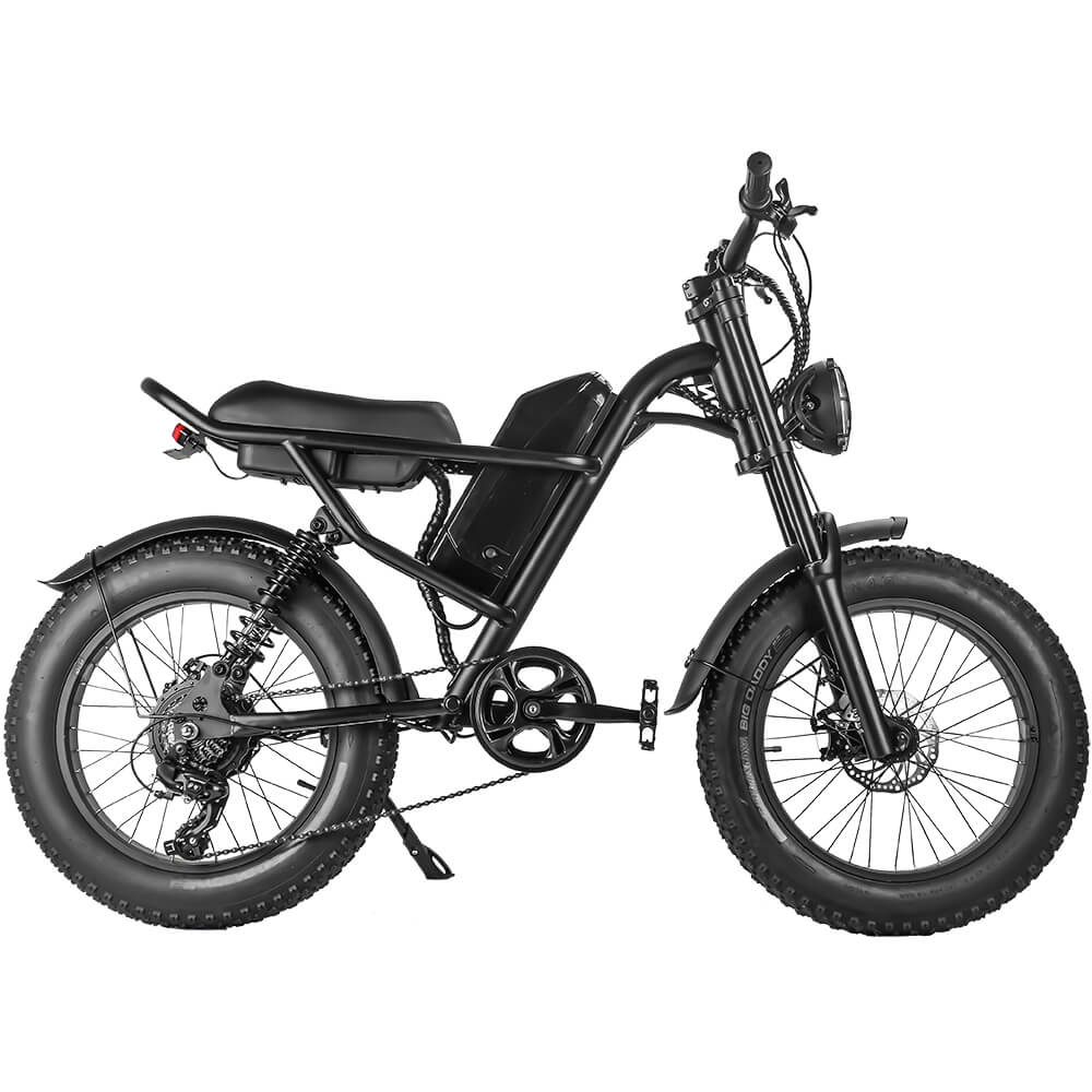 IPDOO Riding' Times Z8 Electric Bike 500W Fat Tire Electric Motor Bike 15.6Ah Battery Holaty