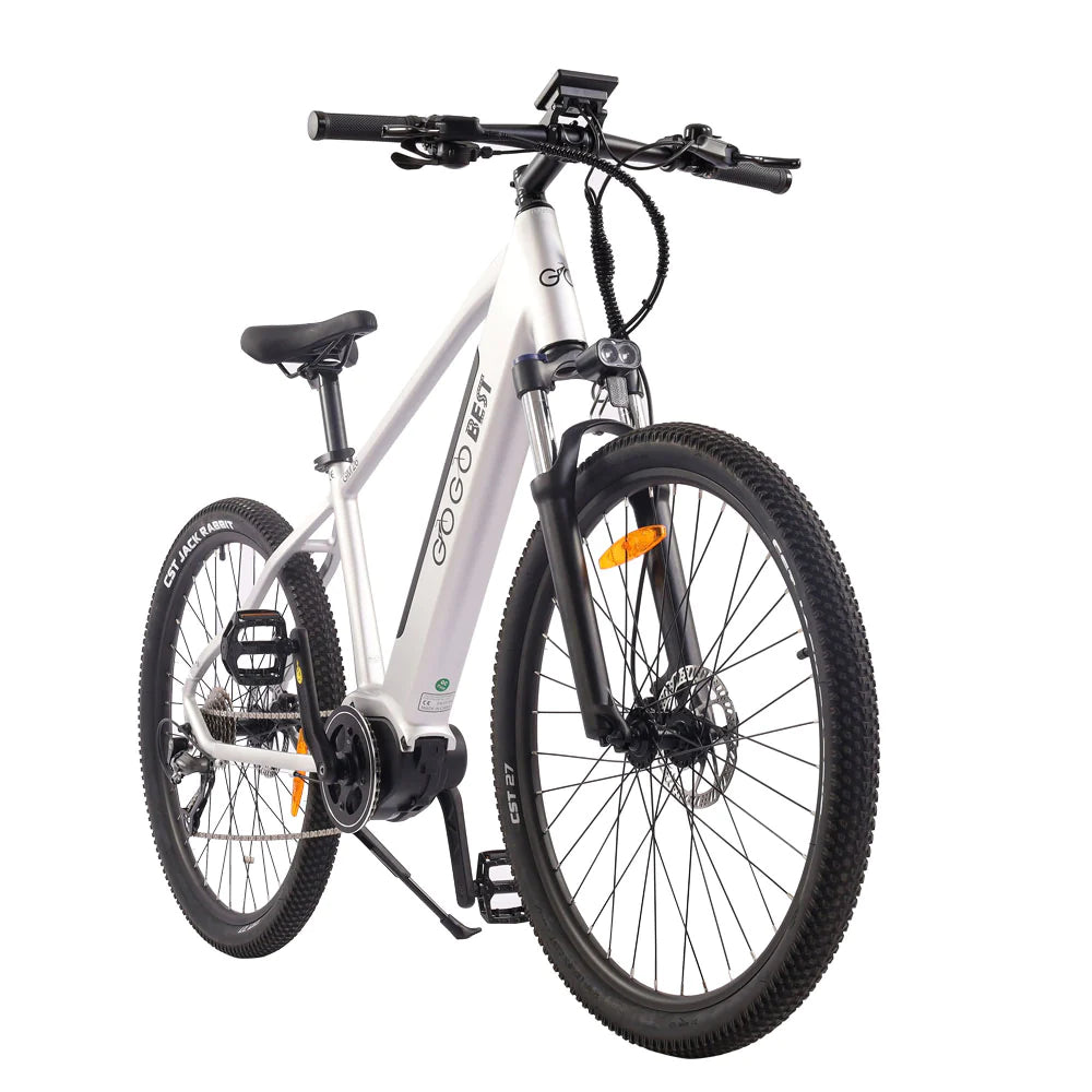 GOGOBEST GM26 250W elektrische stadsfiets
