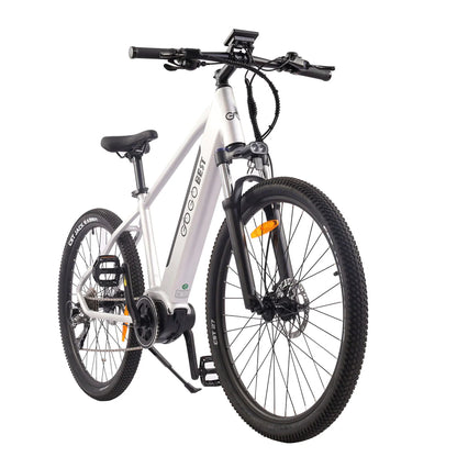 GOGOBEST GM26 250W elektrische stadsfiets
