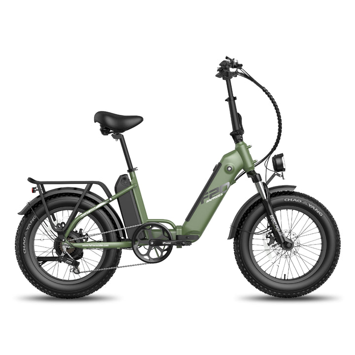 FAFREES FF20 Polar 500W vélo de ville électrique